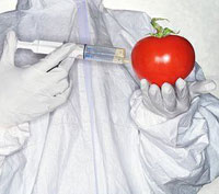 Что мы едим или Куда исчезли натуральные продукты?