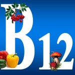  B12