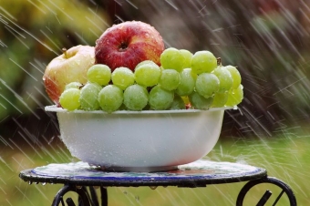 Виноградная диета: как избавиться от 2 кг лишнего веса всего за 4 дня
